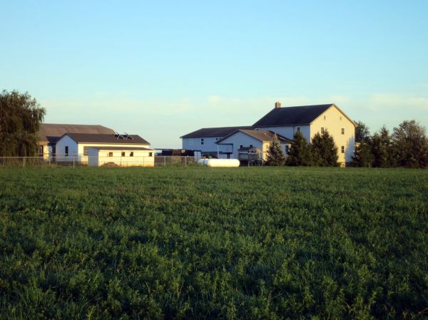 Propriedade rural de 110 ha em Teixeira de Freitas