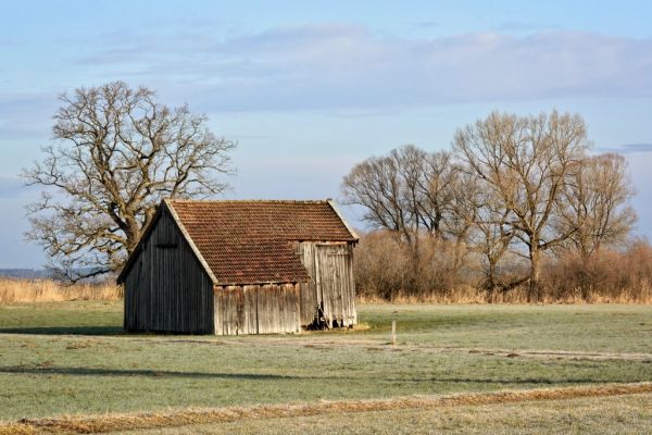 Propriedade rural de 52 ha em Teixeira de Freitas