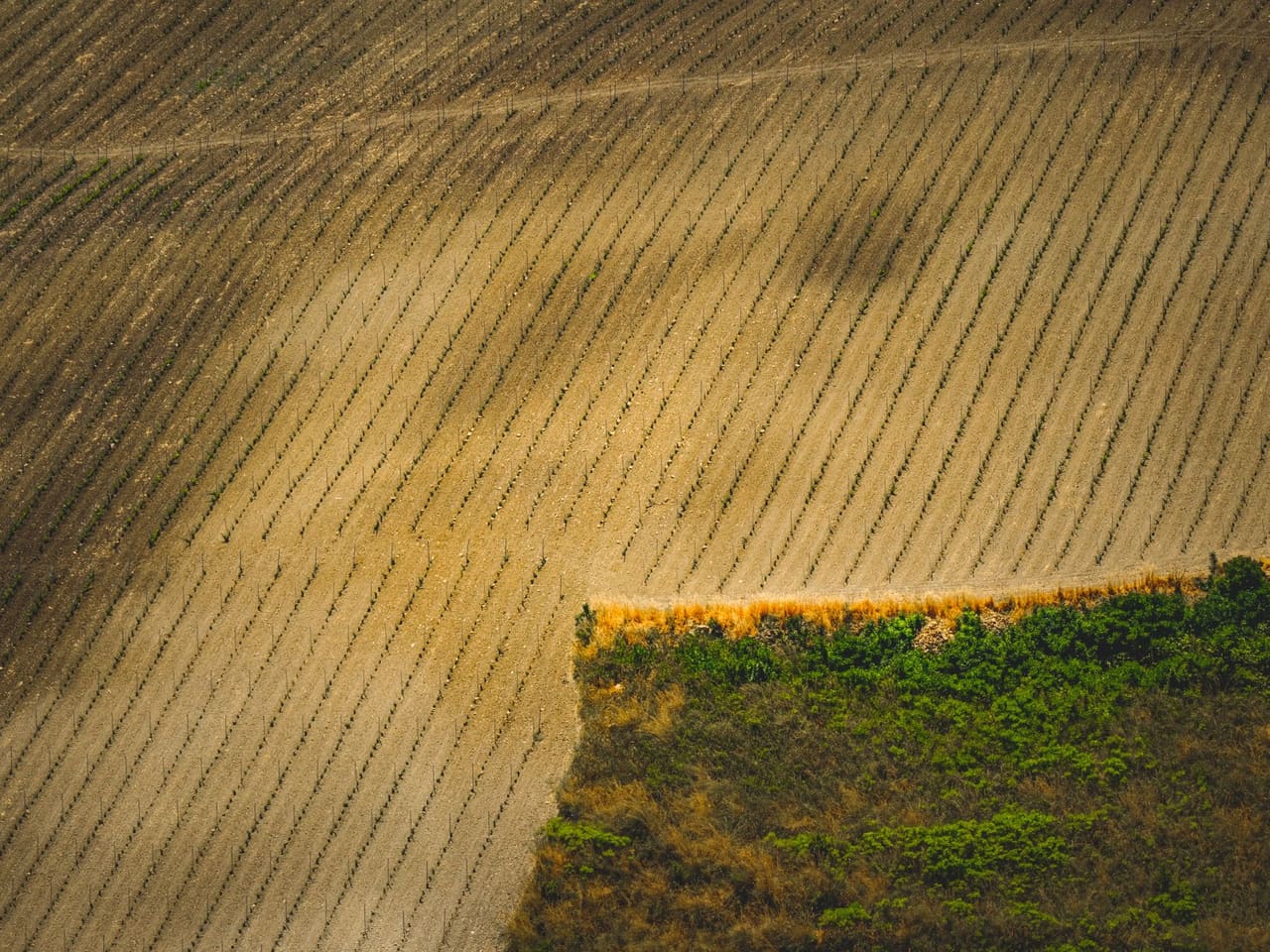 Terreno de 1071 m² no Nova América
