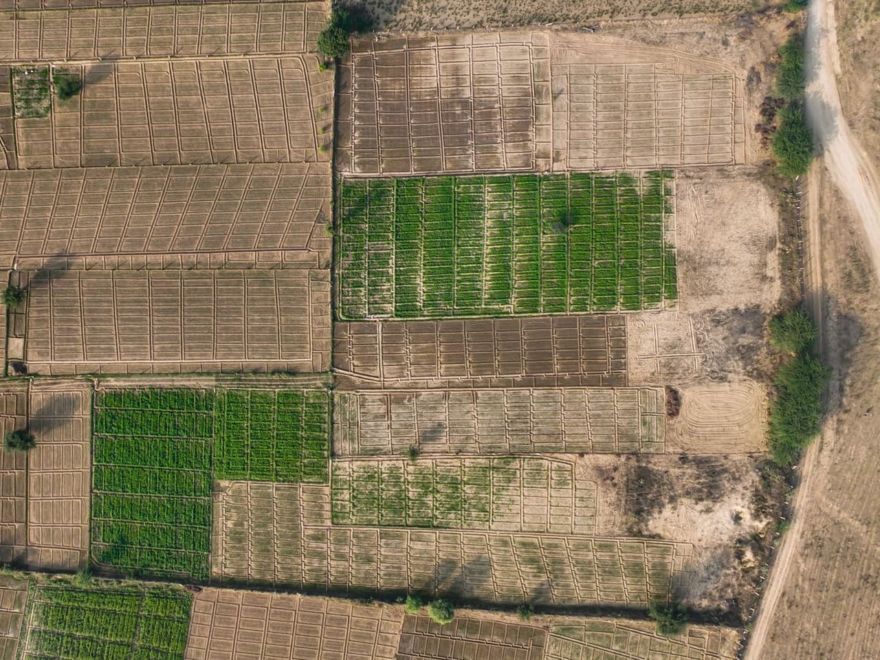 Terreno de 1797 m² no Colina Verde