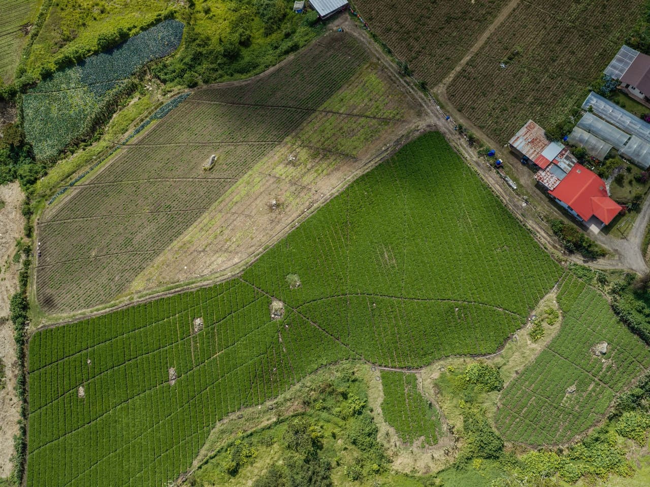 Terreno de 480 m² no Monte Castelo