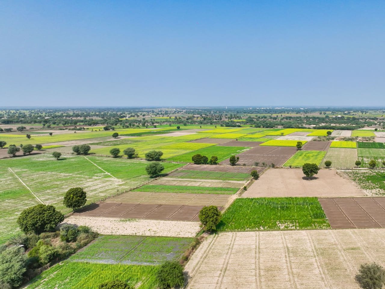 Terreno de 633 m² no São Lourenço
